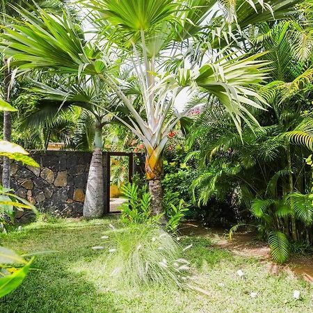 Villa Tropicale Balinaise Intimiste กรองด์เบย์ ภายนอก รูปภาพ