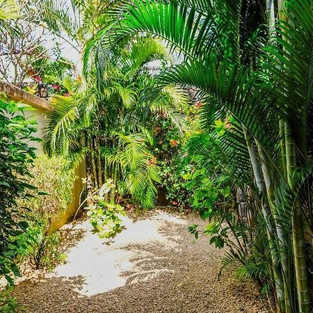 Villa Tropicale Balinaise Intimiste กรองด์เบย์ ภายนอก รูปภาพ