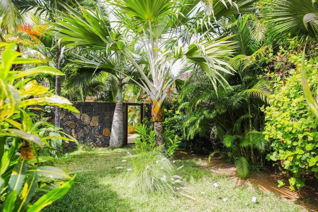 Villa Tropicale Balinaise Intimiste กรองด์เบย์ ภายนอก รูปภาพ
